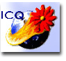 ICQ