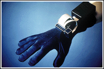 Figura 22 - Modello di data glove
