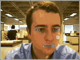 Figura 26 - Un volto umano 'visto' dalla telecamera di un computer che cerca di interpretarne i movimenti
