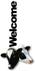 Tucows - HTML Editors