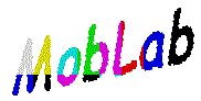 MobLab