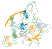 Grafica realizzata da una societ che si occupa di strategie globali