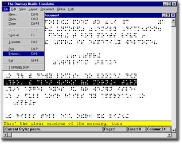 Schermata del software che converte in Braille