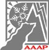 American Association of Avalanche Professionals