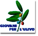 giovani dell'ulivo